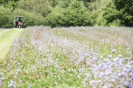 MÜNCHEN – Montag (16.06.2025): Bayern fördert mit 3,6 Mio. € neue Projekte zum Schutz von Natur, Artenvielfalt und Biotopen 🌿