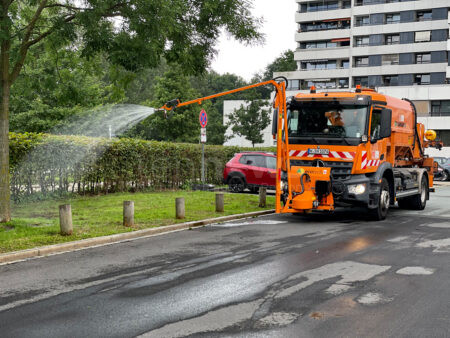 NÜRNBERG - 🌳 Dramatischer Hilferuf wegen anhaltender Trockenheit! Bürgermeister Vogel bittet Bürger um Unterstützung bei Beässerung der Bäume! 💧