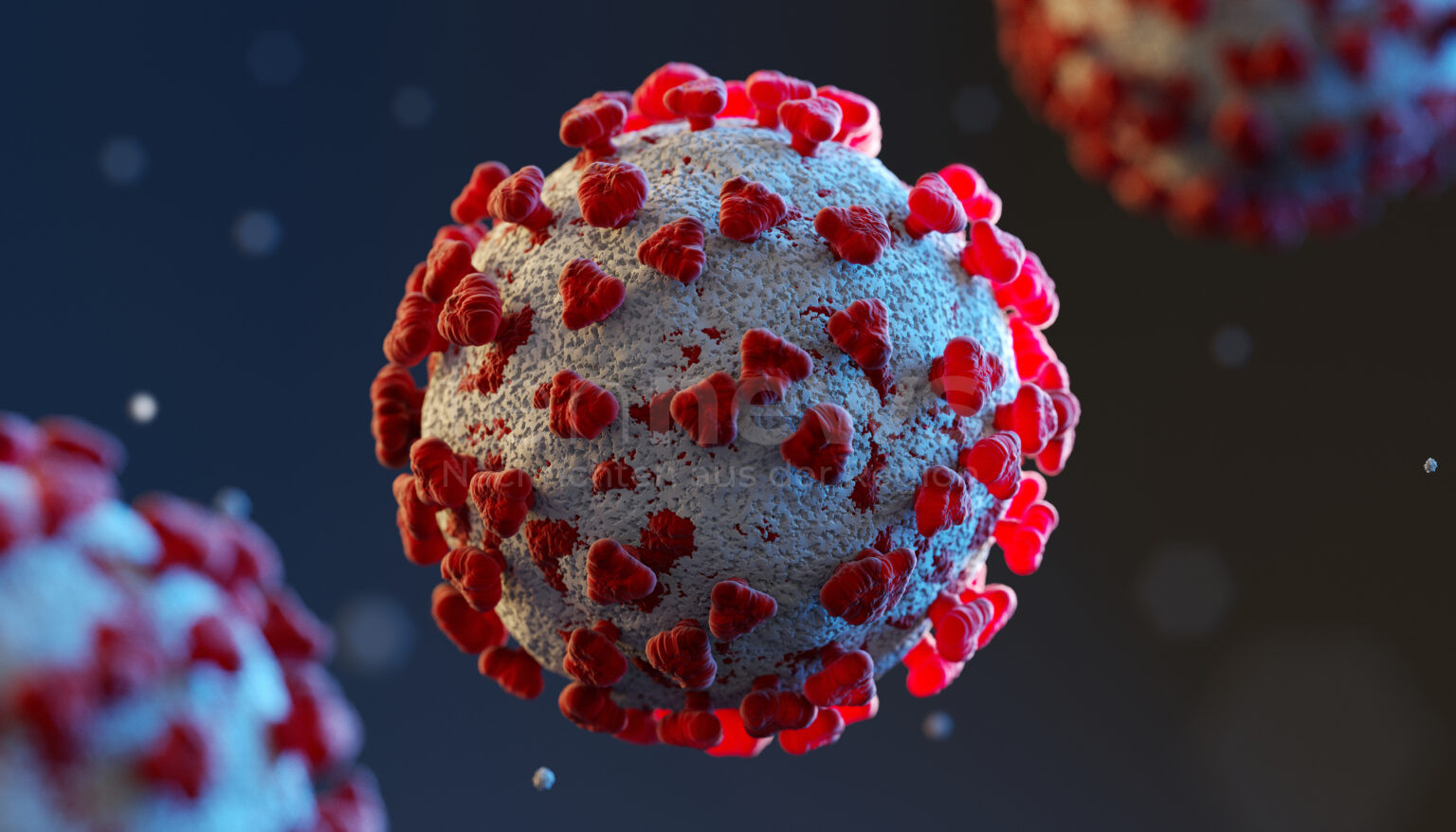 PFAFFENHOFEN AN DER ILM - 🦠 Tödlicher Virus am Montag (02.06.2025)! Mann stirbt an Borna-Virus - zweiter Patient kämpft ums Leben! ⚠️