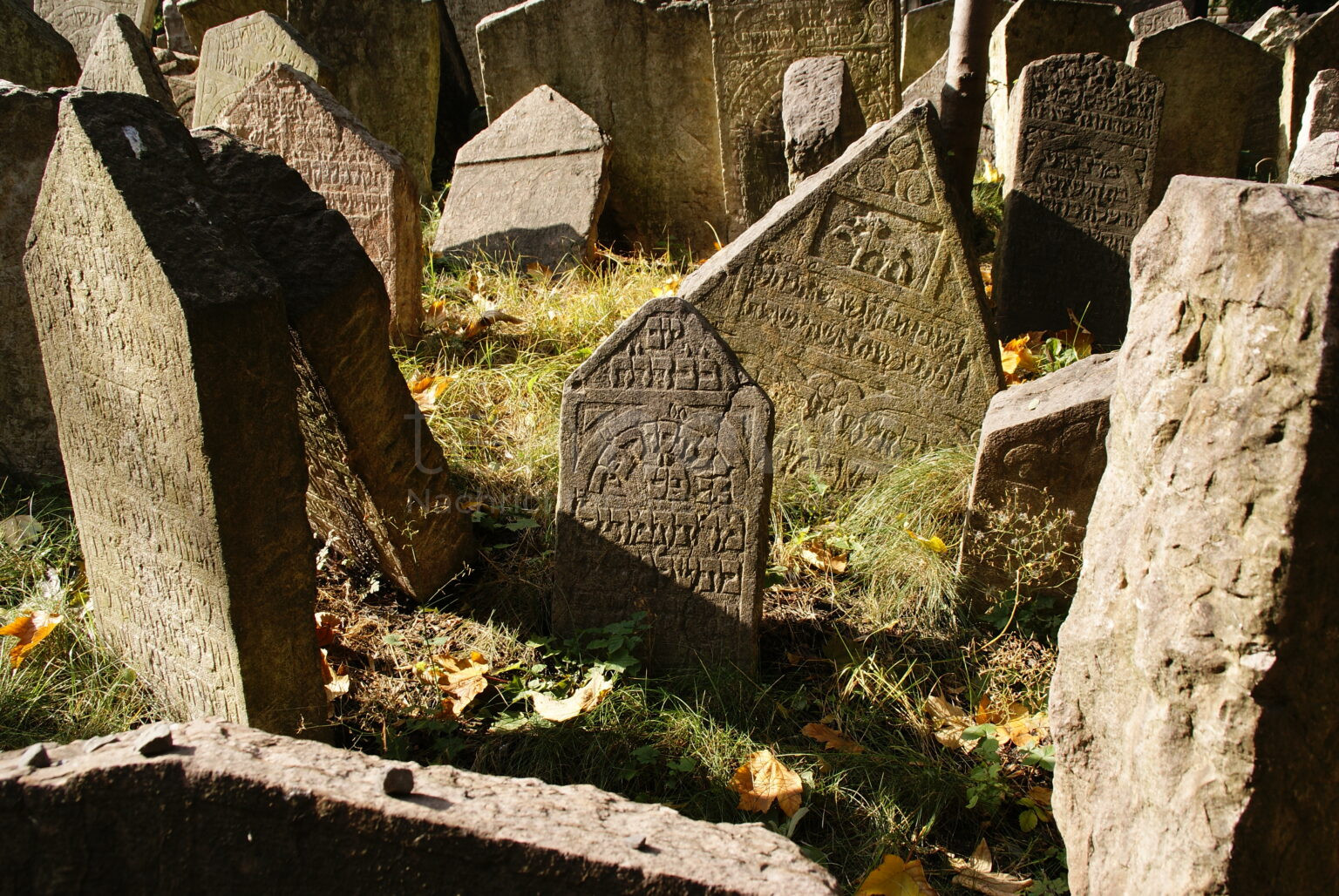 ROTHENBURG OB DER TAUBER - 🕍 Grabschändung auf jüdischem Friedhof entdeckt – Polizei bittet um Hinweise zu Tatzeitraum und Tätern (Ende Mai 2025) ⚠️