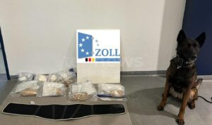 MÜNCHEN - 🐾 Zollhund „Siri“ findet Drogen bei Busreisendem (27.06.2025): Kokain in Unterhose, MDMA im Nierengurt – Zoll leitet Verfahren ein! 💊