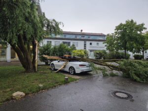NEUBURG AN DER DONAU - ⛈️ Heftiges Unwetter am Montag (23.06.2025) sorgte für viele Feuerwehr-Einsätze! Baum fällt auf Audi! 🌳🌬️