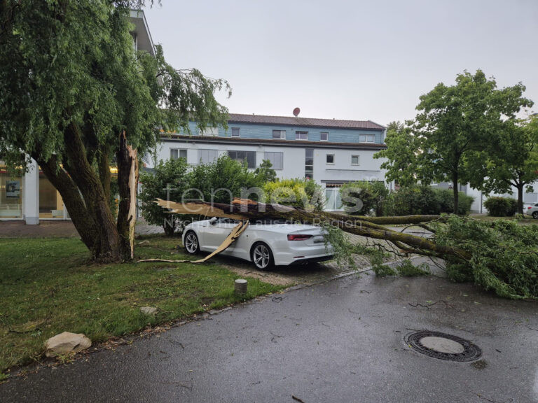 NEUBURG AN DER DONAU - ⛈ Heftiges Unwetter am Montag (23.06.2025) sorgte für viele Feuerwehr-Einsätze! Baum fällt auf Audi! 🌳🌬