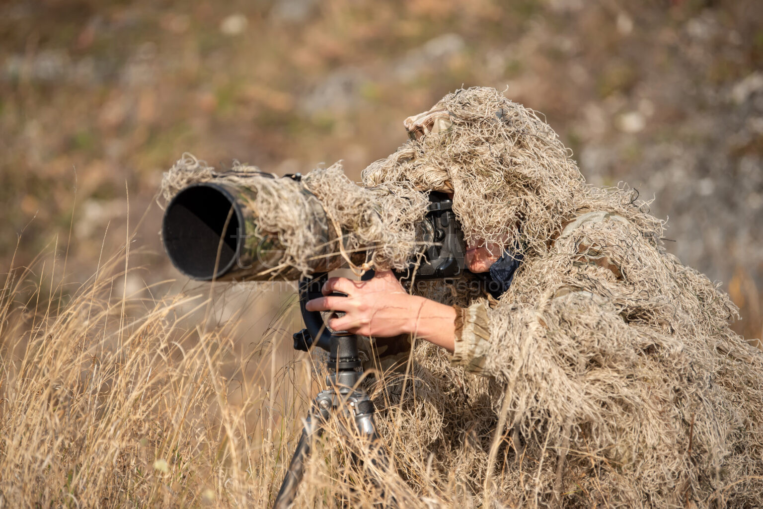 GAUTING - 📷 Vogelfotograf mit Tarnnetz löst am Mittwoch (25.06.2025) Polizeieinsatz aus! Beamte halten Kameraobjektiv zunächst für Gewehr! 👮
