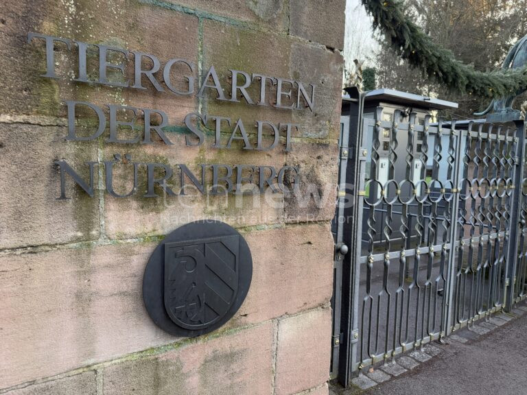 NÜRNBERG - 🐒 Tiergarten tötet 12 Paviane am Dienstag (29.07.2025)! Tierschützer stürmen Gelände - Polizei im Großeinsatz! 🚔