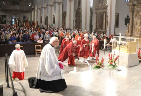 WÜRZBURG - ⛪ Kiliani-Wallfahrt am Dienstagabend (08.07.2025)! 400 Gläubige feiern Pontifikalgottesdienst - "Fahne der Hoffnung hochhalten"! ✨