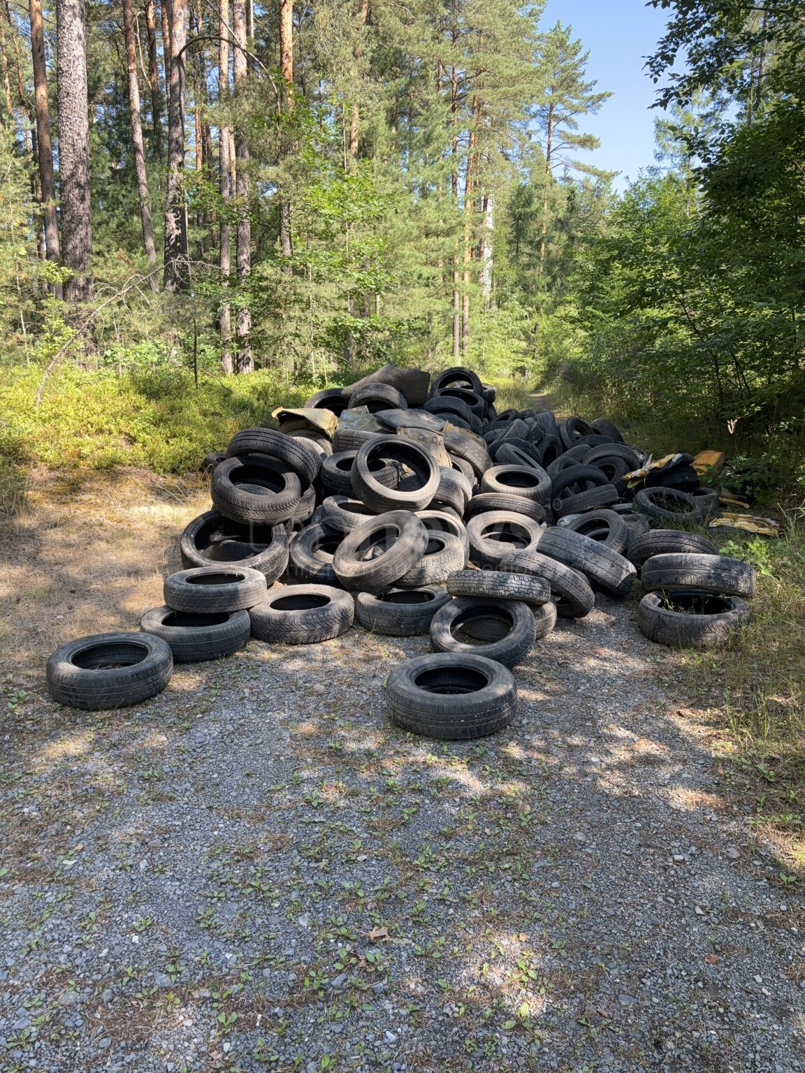 PARKSTEIN - 🌲 Umwelt-Sünder entsorgten zwischen Freitag und Samstag (19.07.2025) Reifen im Wald! Spaziergänger entdeckt illegale Müllhalde! Zeugen gesucht! ♻️