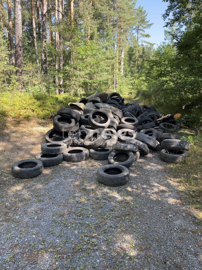 PARKSTEIN - 🌲 Umwelt-Sünder entsorgten zwischen Freitag und Samstag (19.07.2025) Reifen im Wald! Spaziergänger entdeckt illegale Müllhalde! Zeugen gesucht! ♻