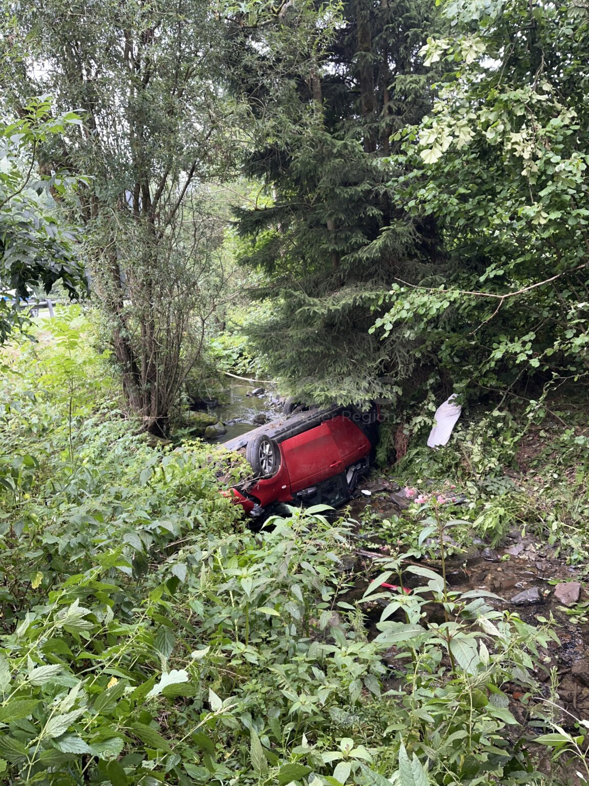 RUGENDORF - 🦌 Reh am Dienstagmorgen (15.07.2025) gegen 7:25 Uhr! Fahranfängerin (19) weicht aus - Smart überschlägt sich in Bach! 🚗