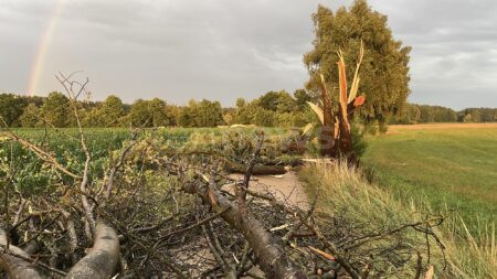 PYRBAUM-RENGERSRICHT - ⛈️ Heftiges Gewitter am Mittwoch (16.07.2025)! Blitz reißt Baum ab - Feuerwehr mit Kettensägen im Dauereinsatz! 🌳