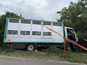 INGOLSTADT-ZUCHERING - 🐂 Außergewöhnlicher Rettungseinsatz am Donnerstag (03.07.2025)! Lastwagenfahrer klemmt mit Stier an Bord fest - 60 Kräfte im Einsatz! 🚒