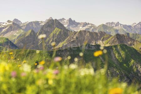 BAYERN - 📸 Fotowettbewerb "Natur im Fokus" für Jugendliche! Bis 30. September 2025 - tolle Preise und Erlebniswochenende zu gewinnen! 🏆