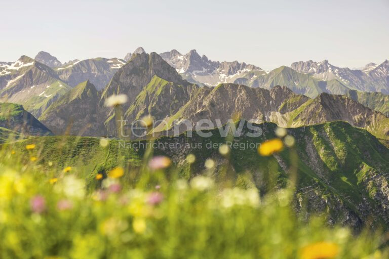 BAYERN - 📸 Fotowettbewerb "Natur im Fokus" für Jugendliche! Bis 30. September 2025 - tolle Preise und Erlebniswochenende zu gewinnen! 🏆