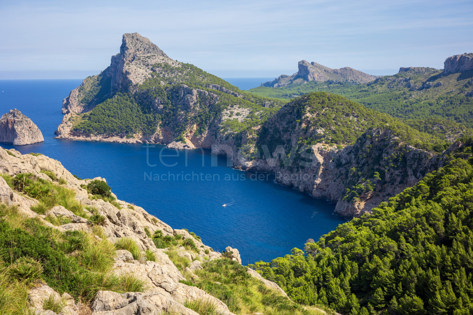 MALLORCA - 🐍 Dramatische Schlangenplage auf Ferieninsel! Invasive Arten machen sich auf Mallorca breit - Behörden installieren hunderte Fallen! ⚠️