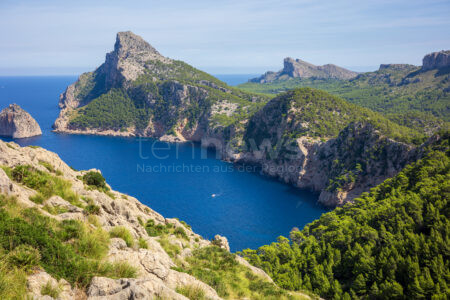 MALLORCA - 🐍 Dramatische Schlangenplage auf Ferieninsel! Invasive Arten machen sich auf Mallorca breit - Behörden installieren hunderte Fallen! ⚠️