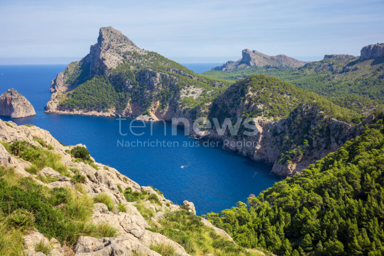 MALLORCA - 🐍 Dramatische Schlangenplage auf Ferieninsel! Invasive Arten machen sich auf Mallorca breit - Behörden installieren hunderte Fallen! ⚠