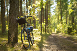 EMMERTING - 🚴 Tragischer Fahrradsturz am Freitag (18.07.2025)! Unbekannter Senior stirbt allein im Wald - Polizei gibt Beschreibung heraus und sucht Zeugen! 🔍