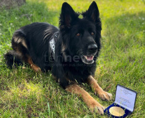 MÜNCHEN - 🐕 Zollhündin Josefa erhält Auszeichnung! Tier absolvierte 100 erfolgreiche Einsätze und spürte 318 Kilogramm Drogen auf! 🏆