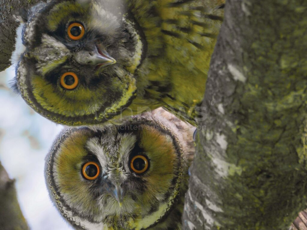 BAYERN - 📸 Fotowettbewerb "Natur im Fokus" für Jugendliche! Bis 30. September 2025 - tolle Preise und Erlebniswochenende zu gewinnen! 🏆
