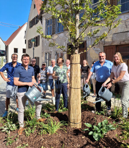 NÖRDLINGEN - 🌳 Altstadt-Sanierung für 2,2 Millionen Euro am Mittwoch (13.08.2025) abgeschlossen! Gemeinsames Baumgießen als Abschluss! 🏘️