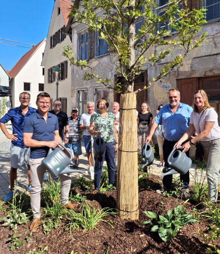 NÖRDLINGEN - 🌳 Altstadt-Sanierung für 2,2 Millionen Euro am Mittwoch (13.08.2025) abgeschlossen! Gemeinsames Baumgießen als Abschluss! 🏘