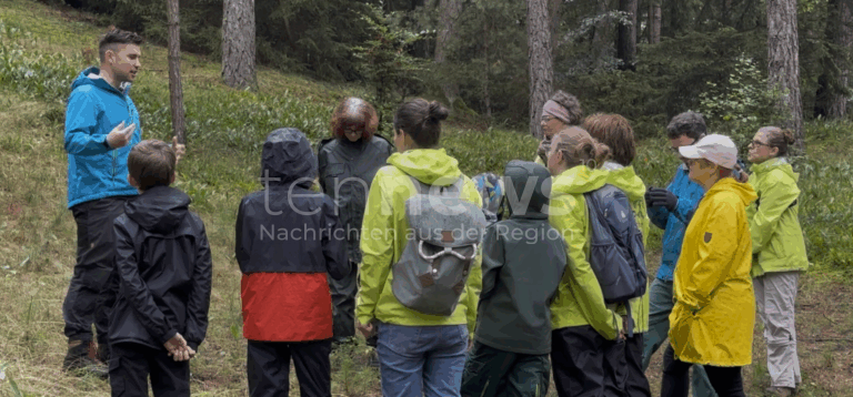WAIDHOFEN - 🌿 Freiwillige schaffen am Samstag (27.07.2025) Lebensraum in den Gröbener Sanden! Mit Harke und Spaten für mehr Naturschutz! 🦋