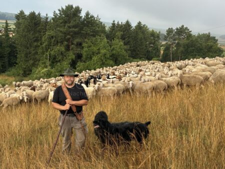 ILLDORF - 🐑 Mit seinen 800 Schafen trägt Schäfer Michael Meier zur Erhaltung der Artenvielfalt auf Donaudämmen und im Frankenjura bei! 🌿