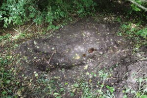 LAUBEN - 😢 Obduktion bestätigt am Freitag (29.08.2025): Valerie von M. tot! Lebensgefährte (38) gesteht Mord! 🚔