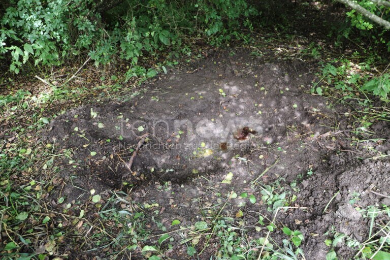 LAUBEN - 😢 Obduktion bestätigt am Freitag (29.08.2025): Valerie von M. tot! Lebensgefährte (38) gesteht Mord! 🚔