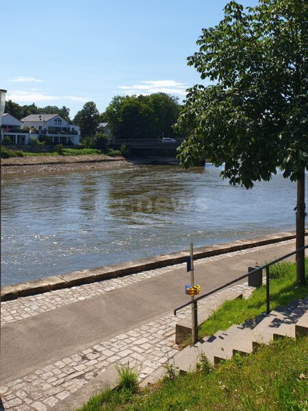 DONAUWÖRTH - 🌊 Donau Clean Up am Samstag (13.09.2025)! Gemeinsame Müllsammelaktion für saubere Flüsse - Anmeldung gewünscht! ♻️