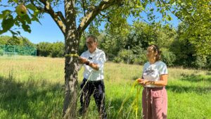 NEUMARKT IN DER OBERPFALZ - 🍏 Aktion „Gelbes Band“: Obstbäume mit gelbem Band dürfen kostenlos geerntet werden – Lebensmittelverschwendung vermeiden, Artenvielfalt fördern! 🌳