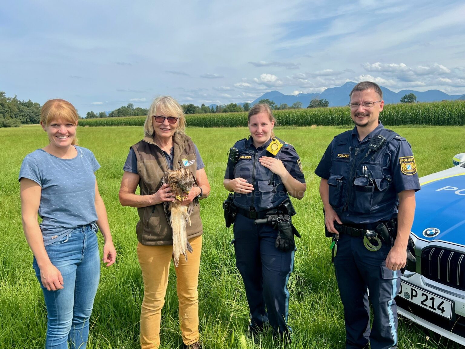PRIEN AM CHIEMSEE - 🦅 Rettung für Rotmilan am Mittwoch (06.08.2025)! Polizei lässt geretteten Greifvogel nach zwei Wochen Pflege wieder frei! 🌿