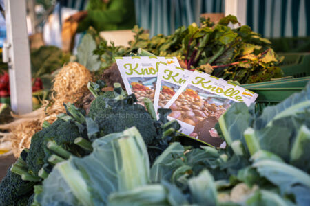 COBURG - 🥕 Neue Stände, frische Vielfalt und Veranstaltungstipps: Die Sommerausgabe der Marktzeitung „Knolle“ ist erschienen und kostenlos erhältlich! 📰
