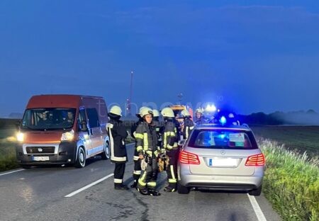 WAIDHOFEN - 🐗 Mercedes erfasst Wildschweinrotte auf B300 am Donnerstag (28.08.2025)! Fünf Tiere tot - Fahrer leicht verletzt! 🚗
