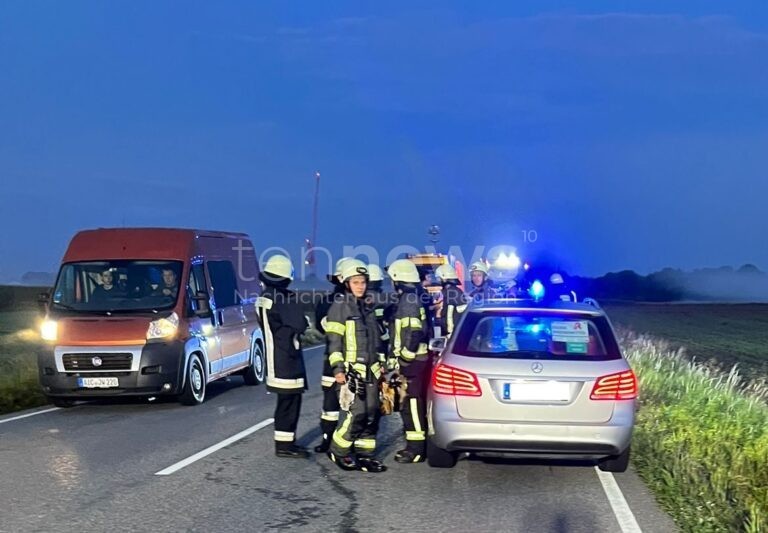 WAIDHOFEN - 🐗 Mercedes erfasst Wildschweinrotte auf B300 am Donnerstag (28.08.2025)! Fünf Tiere tot - Fahrer leicht verletzt! 🚗