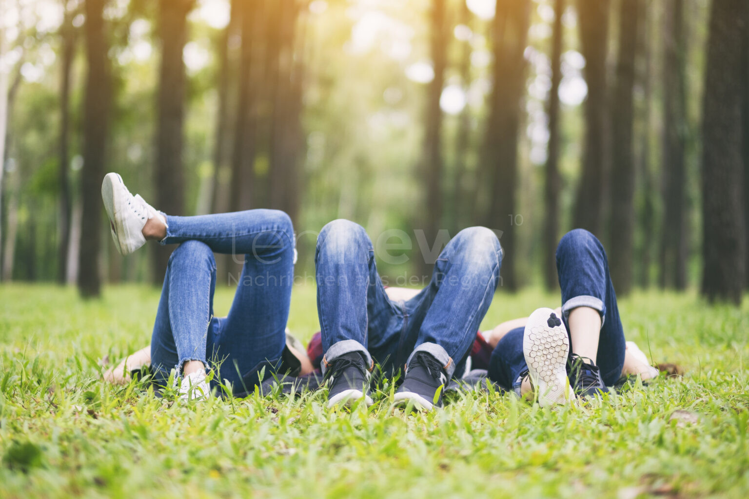 COBURG - 🌳 Führung durch den neuen „Park der Arten“ am Montag (01.09.2025): Einblicke in Artenvielfalt, Klimaschutz und Naherholung – jetzt anmelden! 🦋