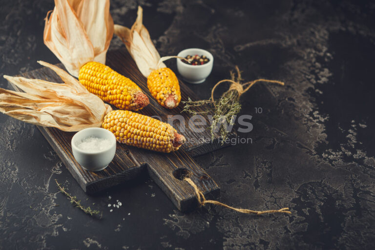 🌽 Die Unterschiede zwischen Zuckermais und Futtermais sind nicht unerheblich. Die Verbraucherzentrale klärt über Eigenschaften und Verwendung auf! 🐄