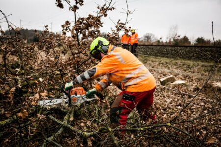 GARMISCH-PARTENKIRCHEN - 🌲 Baumfällarbeiten: Ab 15.09.2025 Sperrung von B23 und Bahnstrecke, Umleitungen und Ersatzverkehr – Einschränkungen im Verkehr! 🚧