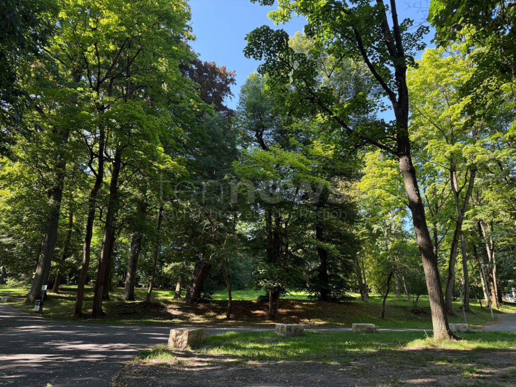 NÜRNBERG - 🌳 Aufwertung der Grünanlage Platnersberg für 322.000 Euro! Baustart am 1. September 2025 - neue Liegen und Picknicktische! 🏞️