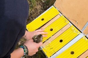 NÜRNBERG - 🐹 Tiergarten wildert am Donnerstag (29.08.2025) zehn bedrohte Ziesel in Tschechien aus! Ausgestorbene Art soll zurückkehren! 🌿