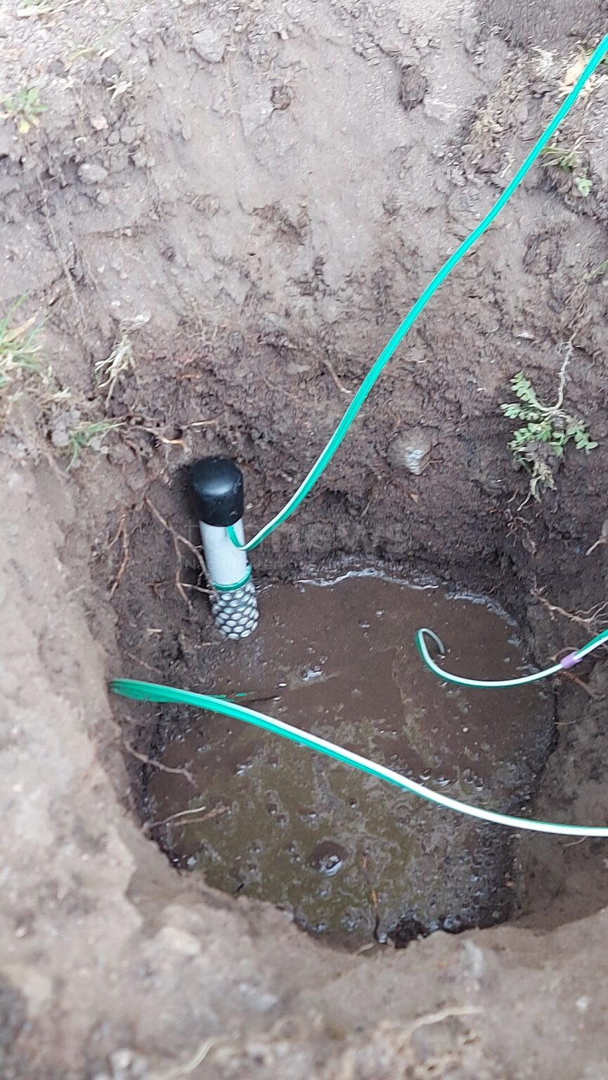 NÜRNBERG - 🌳 Baumbewässerung mit Sensoren: Sör testet neue Technik für effizienten Wassereinsatz und nachhaltiges Stadtgrün! 💧