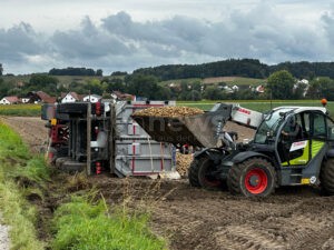 ARESING - LKW mit zwanzig Tonnen Kartoffeln kippt am Freitag (06.09.2025) um! Fahrer (27) unverletzt - Erdäpfel fliegen auf Fahrbahn!