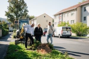 BAD KISSINGEN - 🌳 Neue Bäume und Stauden: Stadt startet Baumpflanzungen und Entsiegelung rund um die Evangelische Kirche und in der Vernonstraße – mehr Grün für alle! 🌱