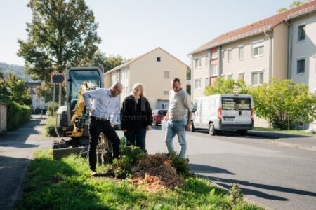 BAD KISSINGEN - 🌳 Neue Bäume und Stauden: Stadt startet Baumpflanzungen und Entsiegelung rund um die Evangelische Kirche und in der Vernonstraße – mehr Grün für alle! 🌱