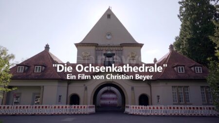 🎬 BAD KISSINGEN - "Die Ochsenkathedrale" ab Donnerstag (25.09.2025) kostenlos online! Preisgekrönter Dokumentarfilm über UNESCO-Welterbe streambar! 📺