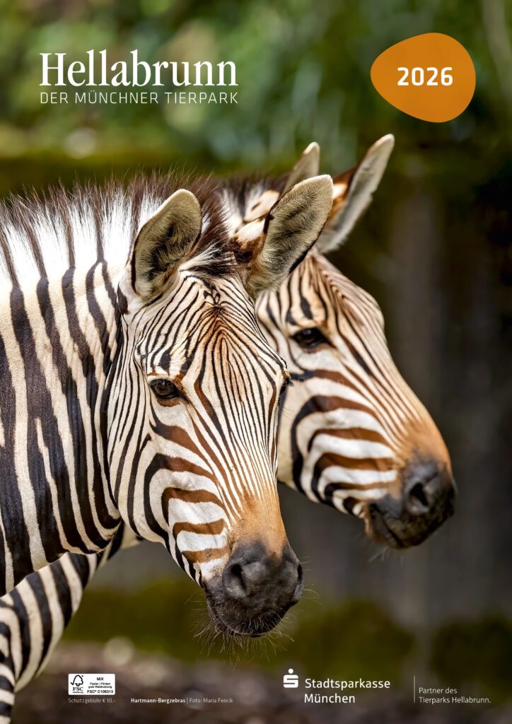 MÜNCHEN - 📅 Hellabrunn-Kalender 2026 ab Mittwoch (01.10.2025) erhältlich! Zwölf eindrucksvolle Tieraufnahmen im neuen Layout - QR-Codes für Zusatzwissen! 🦓