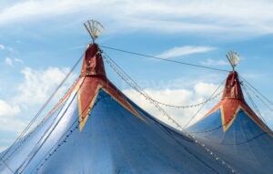 BAUTZEN - Tragischer Zirkus-Unfall! Artistin stürzt vom Trapez vor 80 Zuschauern - Krisenintervention für traumatisierte Kinder!