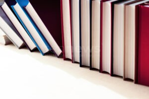 NÜRNBERG - 📚 Erste regionale Buchmesse FrankenBuch 2025 am Samstag (27.09.2025) in der Stadtbibliothek: Lesungen, Comics, regionale Verlage – Eintritt frei! ✍️