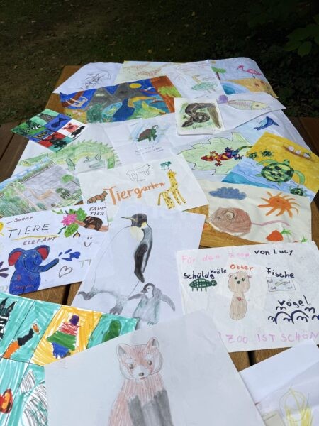 NÜRNBERG - Letzter Ferientag am Montag (15.09.2025) im Tiergarten! Kinder bis 17 Jahre bekommen mit selbstgemaltem Bild freien Eintritt! 🎨