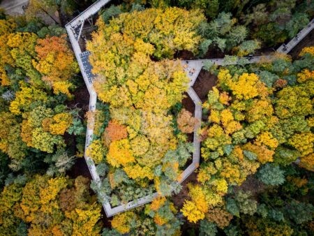 🌲 NÜRNBERG - Deutsche Waldtage am Freitag (19.09.2025)! Sonderführung auf Klimawaldpfad im Tiergarten - Anmeldung bis Donnerstag! 🌳